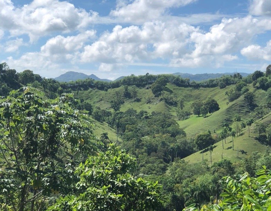 Descripción del terreno del propietario en Las Caoba Descripción del terreno del propietario en Las Caoba