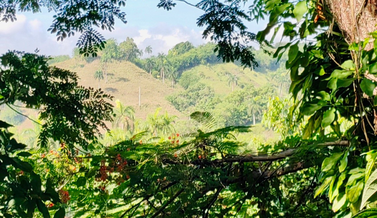 Descripción de terreno en República Dominicana en Las Caoba Descripción de terrenos en República Dominicana