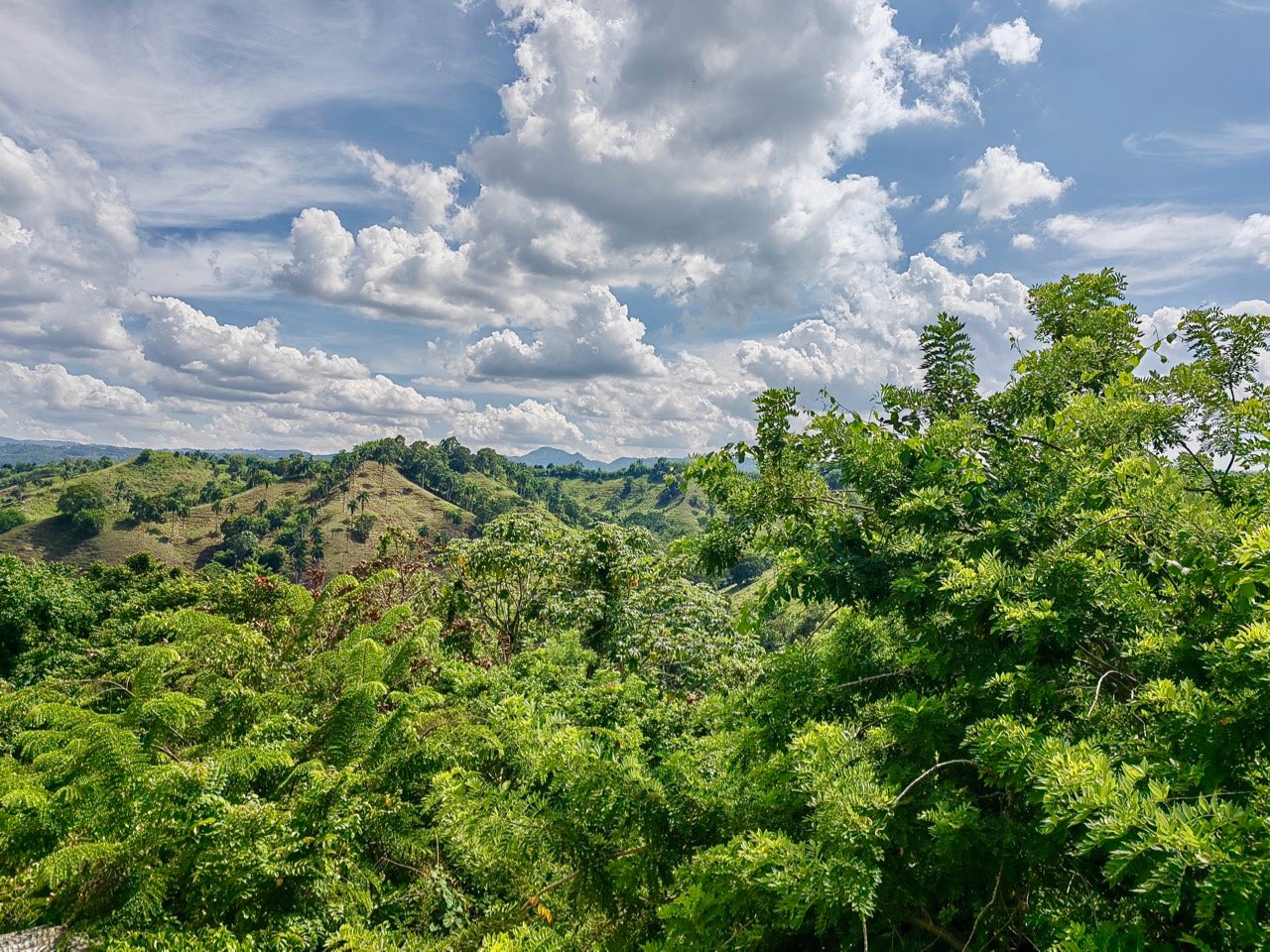 TERRENO EN VENTA - República Dominicana, Provincia Espaillat, Jamao Al Norte, Palo Roto, Las Caoba.