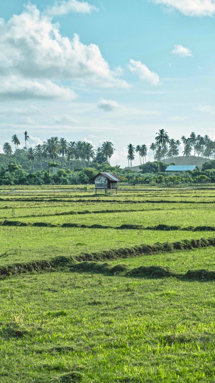 The province of Espaillat