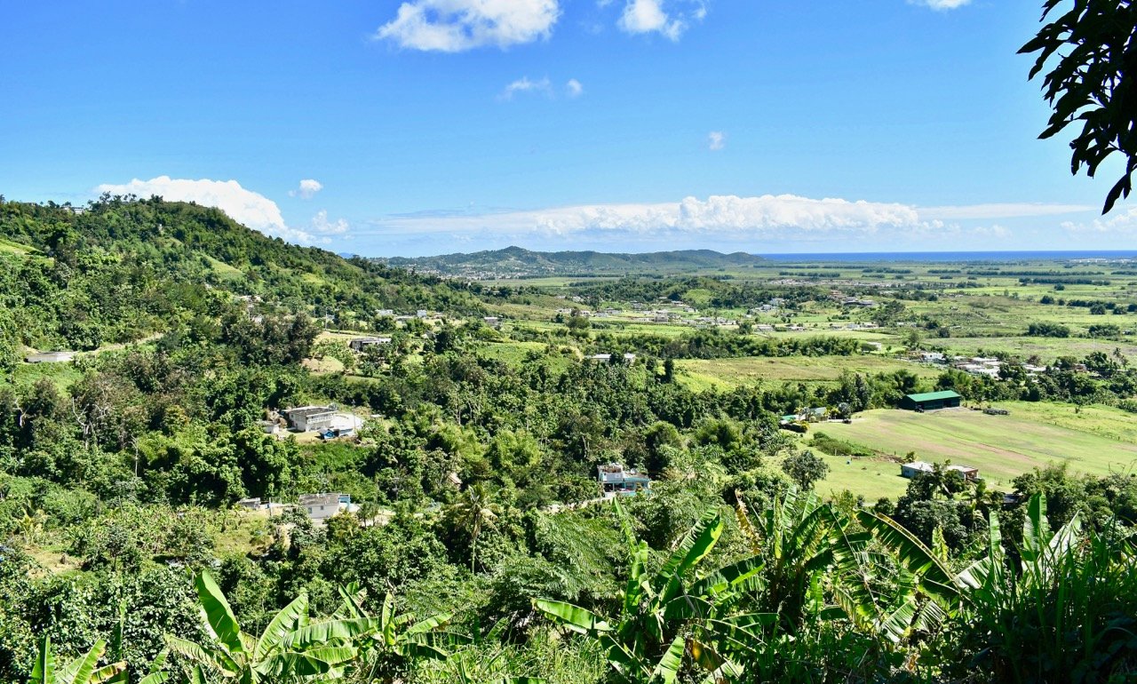 Buying land in the Dominican Republic as a business project
